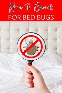 a person holding a bed bug with the text how to check for bed bugs