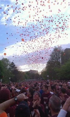 a large group of people watching balloons fly in the sky