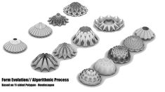 an assortment of sea shells on a white background with the words form evolution / authentic process