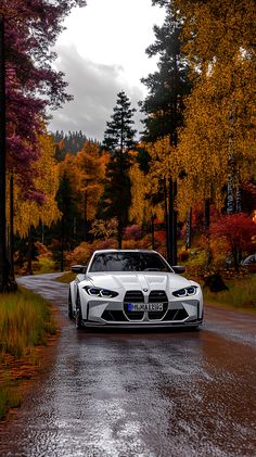 a white sports car driving down a wet road in the fall season with trees lining both sides