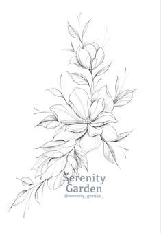 a black and white drawing of flowers on a white background with the words serenity garden