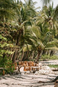 there are many chairs and tables under the palm trees