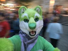 a person wearing a green and white wolf costume