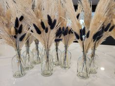 several glass vases with dried plants in them on a white tableclothed surface