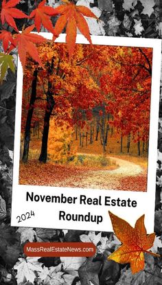 Real Estate Roundup November 2024 November Real Estate, Selling A Home, Investment Properties, Home Buying Process, Buying Process, Residential Real Estate