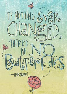 a quote that reads if nothing ever changed, there'd be no butterflies on it