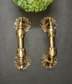 two golden handles on a black surface next to a green plant and potted plant