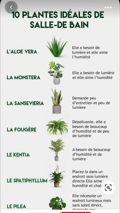 a poster with different types of house plants in spanish, english and french words on it