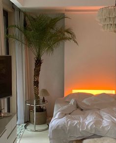 a bedroom with a palm tree in the corner and white bed linens on the floor