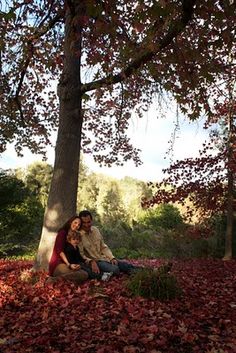 two people sitting under a tree with leaves on the ground