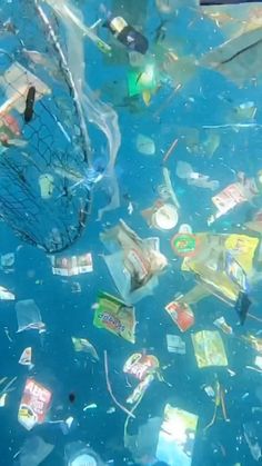 a large amount of trash floating on top of a blue water filled with plastic bottles