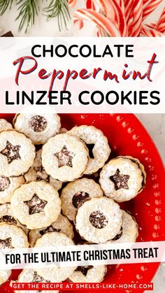 chocolate peppermint linzer cookies on a red plate with text overlay that reads, chocolate peppermint linzer cookies for the ultimate christmas treat