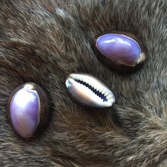 a close up of an animal's fur with shells on it