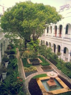 an outdoor courtyard with lots of plants and trees