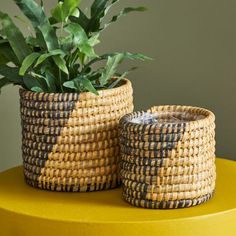 two baskets with plants in them sitting on a yellow table next to a green plant