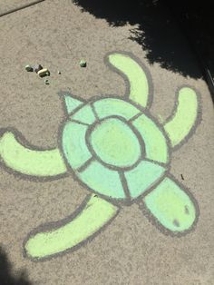 a turtle drawn on the sidewalk with chalk pastel and crayon pencils