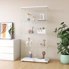 a glass shelf filled with figurines on top of a wooden floor next to a potted plant