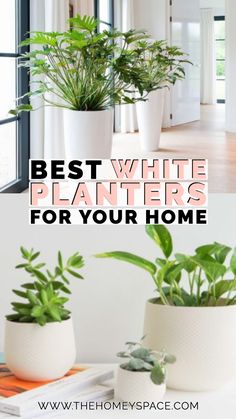 three white planters with plants in them and the words best white planters for your home