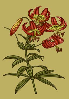 a drawing of red flowers with green leaves