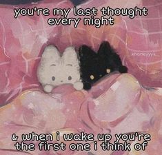 two kittens laying in bed with the caption you're my last thought every night