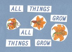 all things grow, all things grow stickers on a blue background with orange flowers