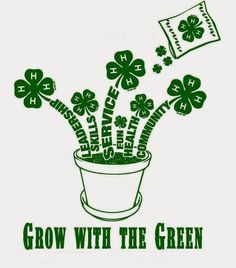 a potted plant with shamrocks on it and the words grow with the green