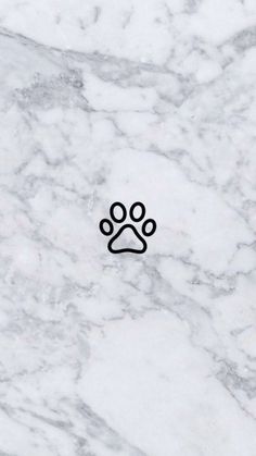 an animal paw print on a marble surface