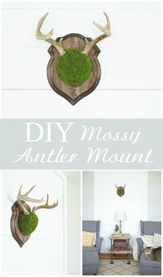 the mossy antler mount is mounted on the wall