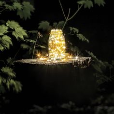 a mason jar sitting on top of a tree branch with lights in the dark behind it