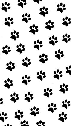 black and white dog paw prints on a white background