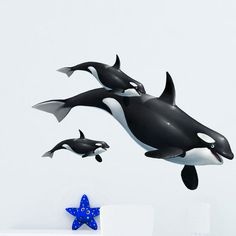 two orca whales jumping in the air next to a starfish wall decal