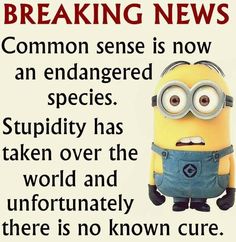 a minion with the words breaking news on it