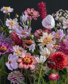 a bunch of flowers that are in a vase