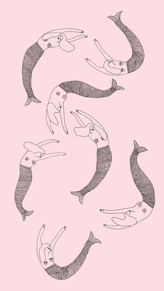 an image of fish in the shape of a circle on a pink background with black and white lines