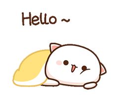 a white cat laying down with the word hello on it's back and its eyes closed