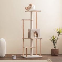 a cat sitting on top of a scratching tower in a living room next to a potted plant