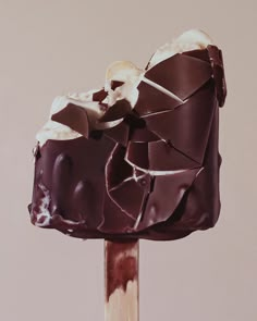 a piece of chocolate covered ice cream on top of a wooden stick with white and brown icing