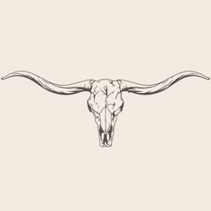 an animal skull with long horns drawn in black and white on a beige background illustration