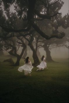 two women in white dresses are walking through the grass under trees on a foggy day