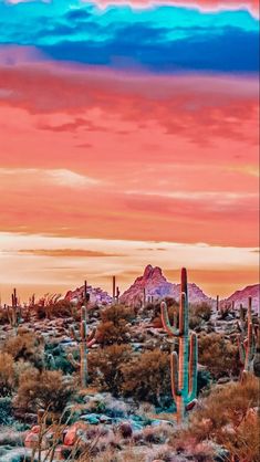 the desert is full of cactus and cacti as the sun sets in the background