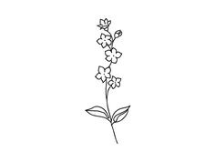 the outline of a flower on a white background