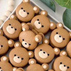 there are many cookies shaped like teddy bears