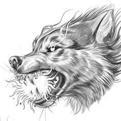 a drawing of a wolf with its mouth open