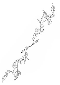 a line drawing of flowers and leaves on a white background