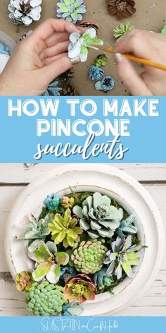 how to make pine cone succulents with text overlay