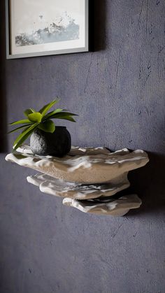 a small potted plant sitting on top of a shelf next to a wall mounted art piece