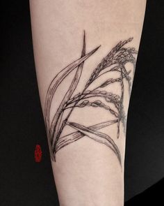 a black and white photo of a tattoo on the leg, with grass in it