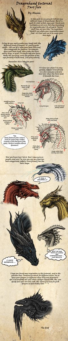 an old book with different types of dragon wings