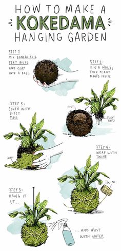 the instructions for how to make a kokedama hanging garden with plants in pots