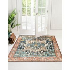 an area rug in front of a white door with glass doors and potted plant